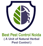 Natural Herbal Pest Control
